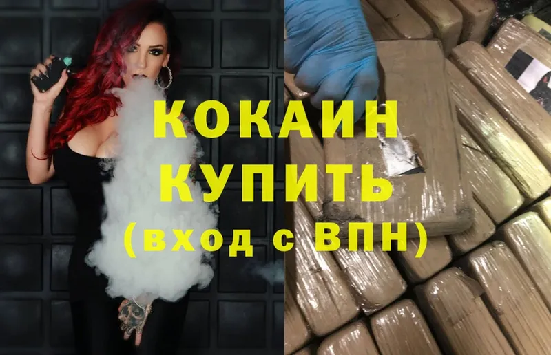 ссылка на мегу как войти  Кедровый  Cocaine Боливия  где купить наркотик 